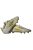 ADIDAS F50 ELITE FEHÉR ARANY STOPLIS FOCICIPŐ